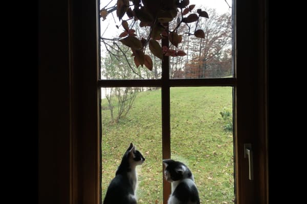 Eggelsberg, Upper Austria, Austria