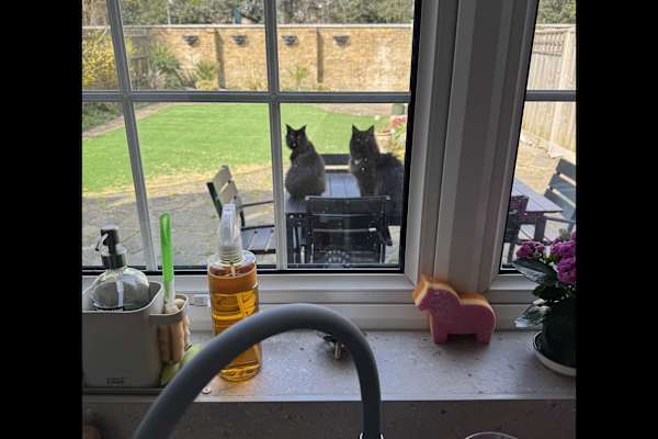 Kingston upon Thames, England, United Kingdom