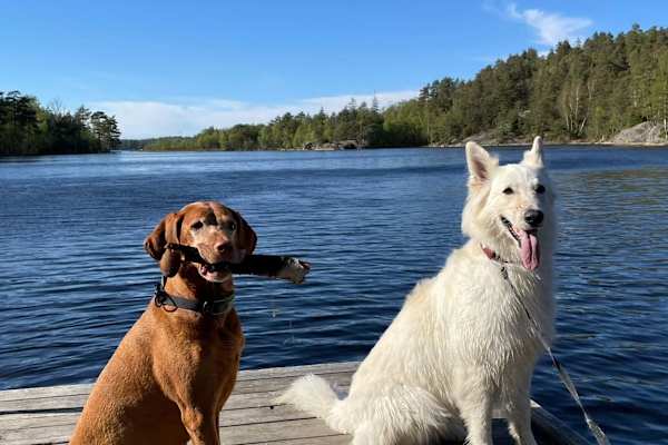 Göteborg, Vaestra Goetaland, Sweden