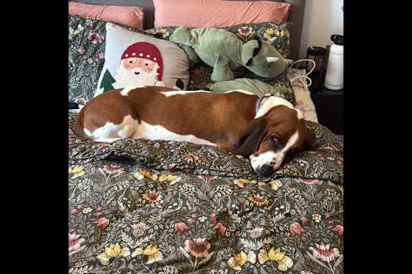 Dublin, Leinster, Ireland