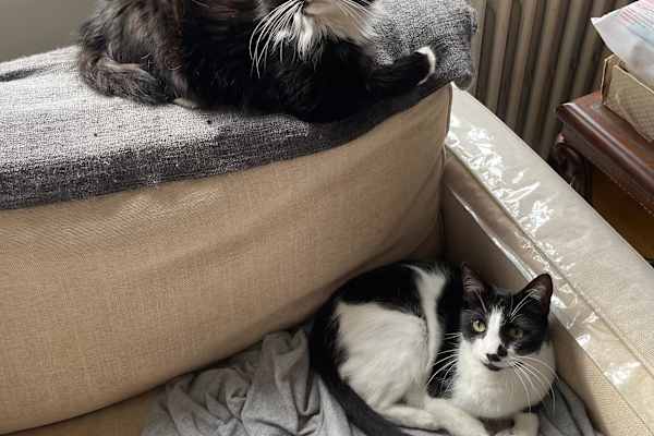 London, England, United Kingdom