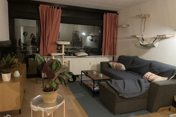 Copenhagen, Capital Region, Denmark