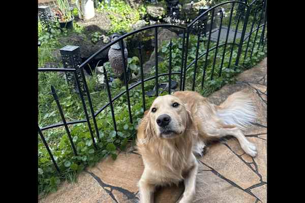 Honolulu, Hawaii, United States