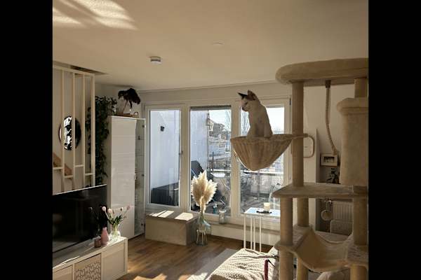 Langenargen, Baden-Wuerttemberg, Germany