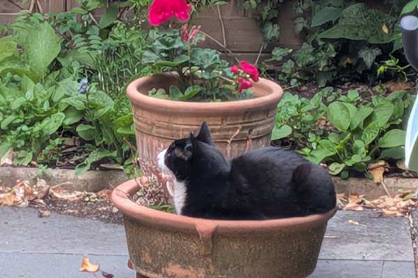 London, England, United Kingdom