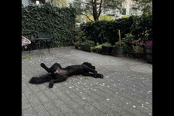 Copenhagen, Capital Region, Denmark