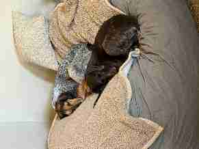 Southwest side, Rapid CIty, Pennington, South Dakota United States