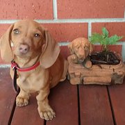 Ballarat, Victoria, Australia