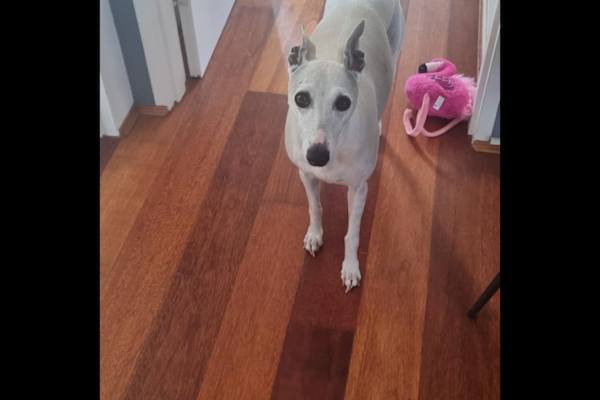 Sydney, New South Wales, Australia