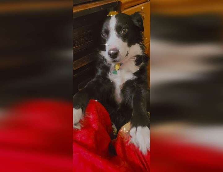 Missoula, Montana, United States