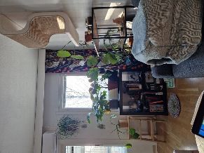 Suburbs near city center, Tampere, Pirkanmaa, West finland Finland