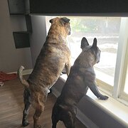 Hallett Cove, South Australia, Australia