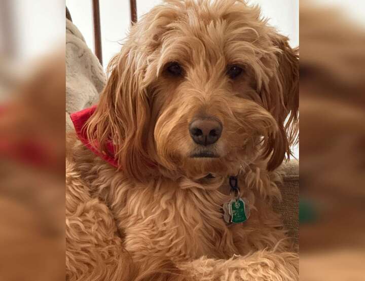 Saint Charles, Missouri, United States