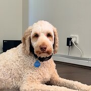 Morphett Vale, South Australia, Australia