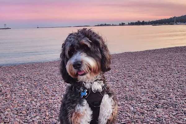 Shawnee, Kansas, United States