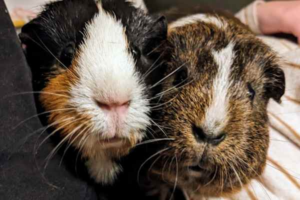 Canberra, Australian Capital Territory, Australia