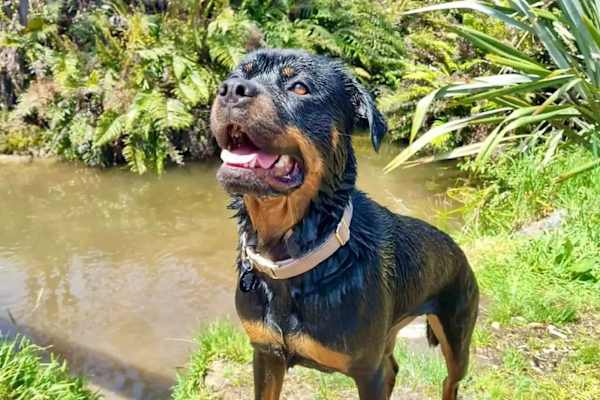 Hokitika, West Coast, New Zealand