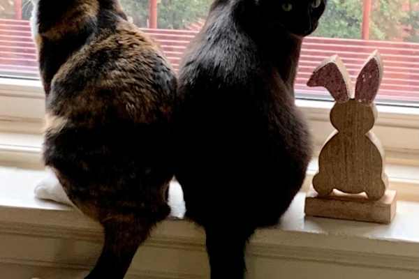 Berlin, Berlin, Germany