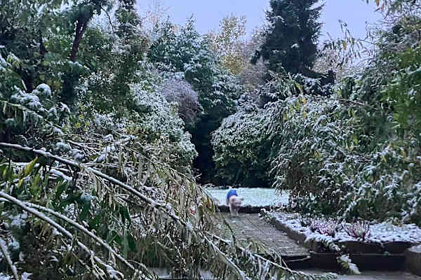 Brussels, Brussels Capital, Belgium