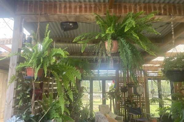 Mangawhai, Northland, New Zealand