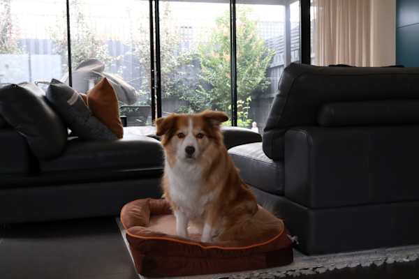 Melbourne, Victoria, Australia