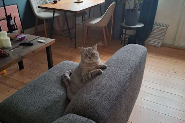 Copenhagen, Capital Region, Denmark