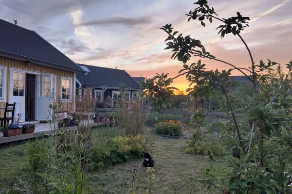 Almere Stad, Flevoland, Netherlands