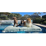 Campbell, Australian Capital Territory, Australia