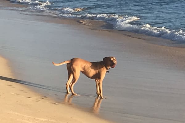 Mililani Town, Hawaii, United States