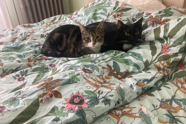 Annecy, Auvergne-Rhône-Alpes, France