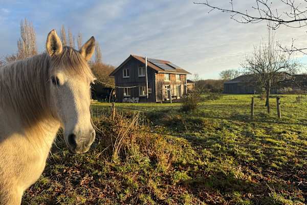 Toucy, Bourgogne-Franche-Comté, France