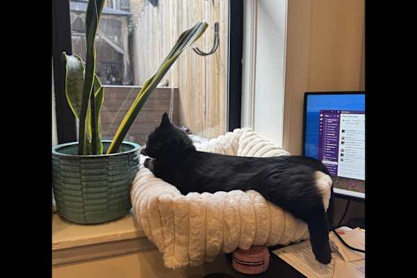 New York City, New York, United States