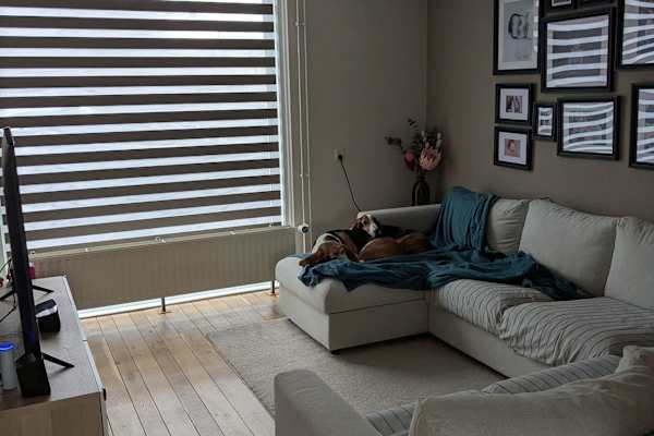 Tilburg, North Brabant, Netherlands