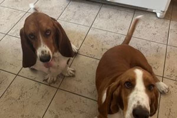 Las Vegas, Nevada, United States