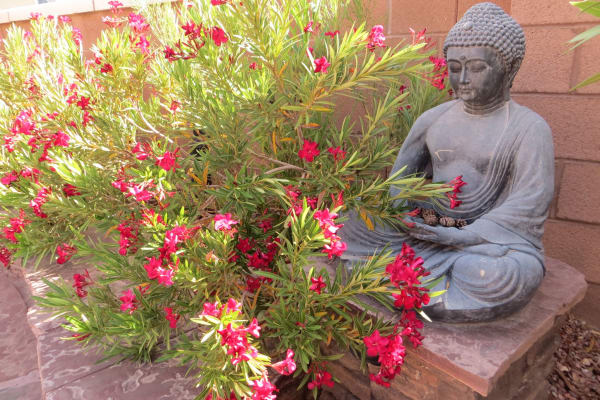 Las Vegas, Nevada, United States