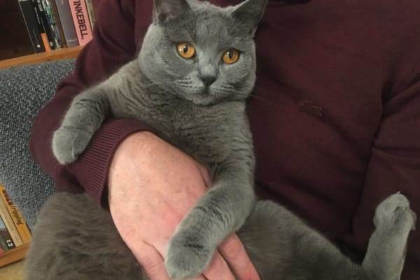 Montpellier, Occitania, France