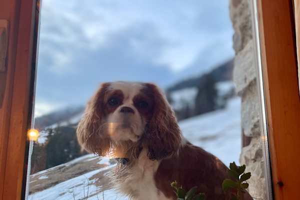 Dardagny, Geneva, Switzerland