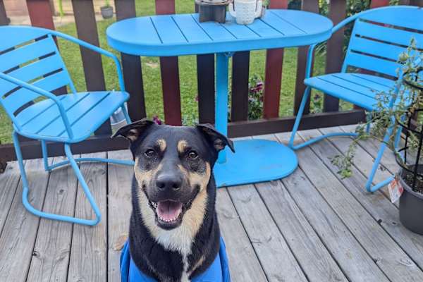 Chicago, Illinois, United States