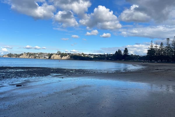 Auckland, Auckland, New Zealand