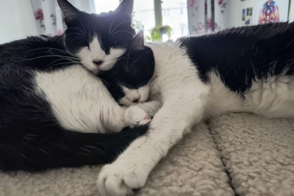 Berlin, Berlin, Germany