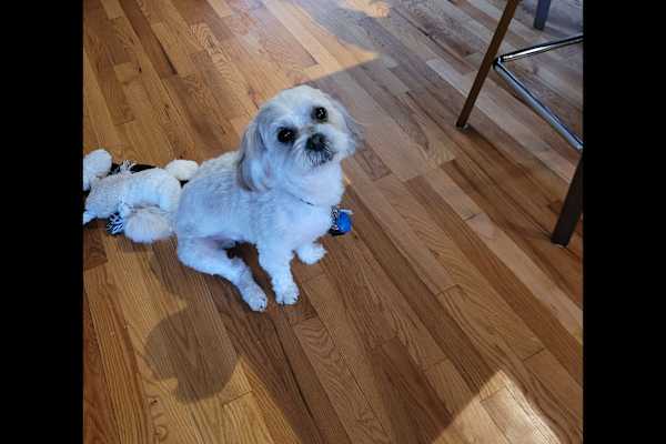 Manotick Station, Ontario, Canada