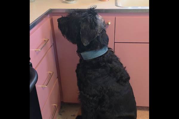 Oklahoma City, Oklahoma, United States