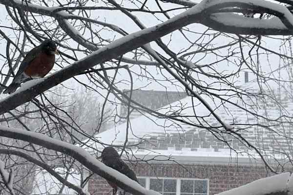 Saint Paul, Minnesota, United States