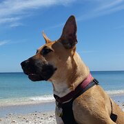 Hamilton Hill, Western Australia, Australia