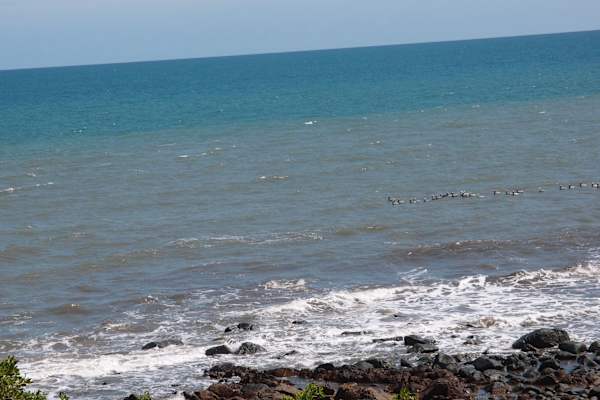 Pedasí, Los Santos, Panama