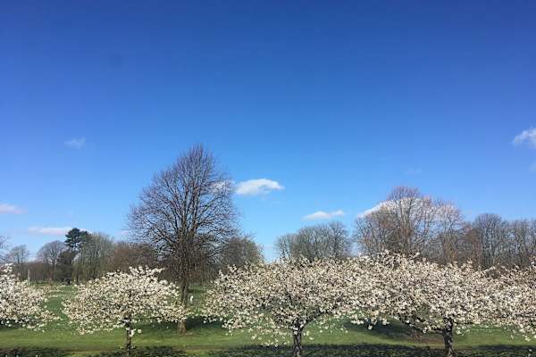 Cardiff, Wales, United Kingdom