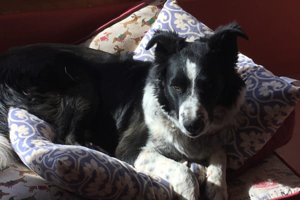 Santa Fe, New Mexico, United States