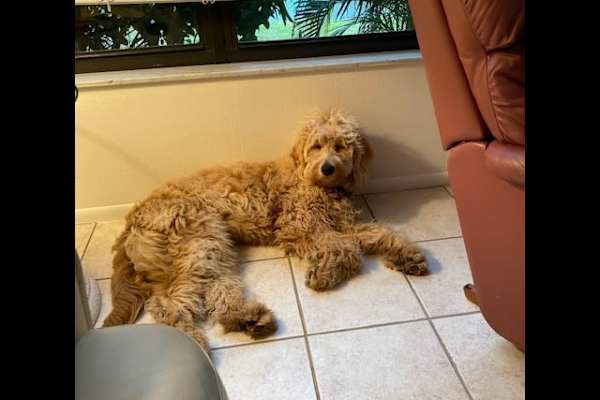 Rehoboth Beach, Delaware, United States