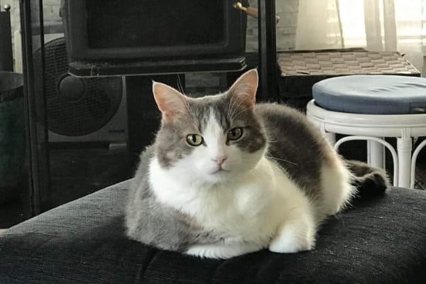 George Town, Tasmania, Australia