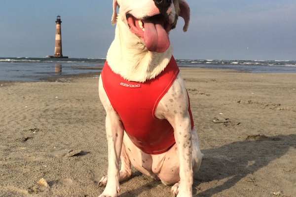 Charleston, South Carolina, United States